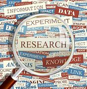 research fellow